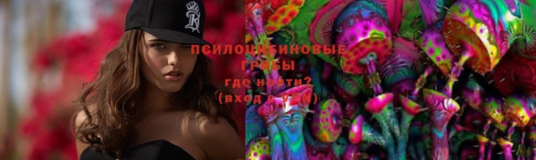 эйфоретик Аркадак