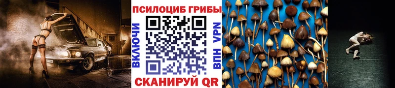 Галлюциногенные грибы прущие грибы  как найти закладки  Бологое 
